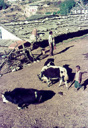 PC_FB00015.jpg