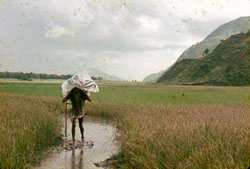 PC_FB00160.jpg