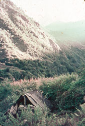 PC_FB00202.jpg
