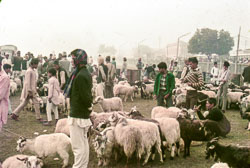 PC_FB00225.jpg