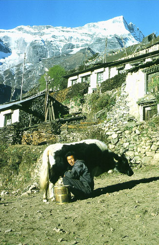 09540016.jpg