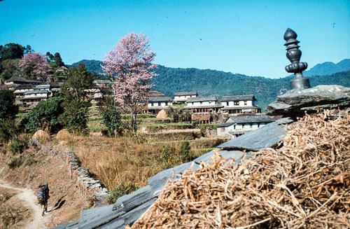 PVM_CS0000263.jpg PVM_CS0000263.jpg