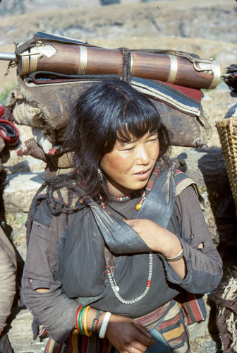PVM_FB00352.jpg