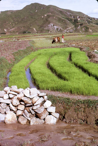PVM_FB00366.jpg