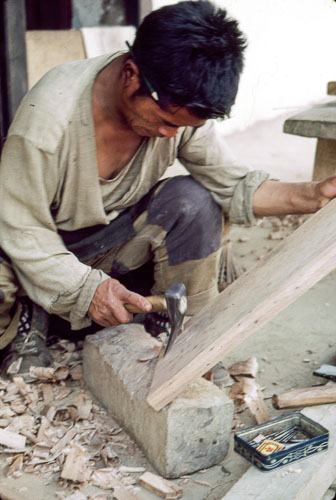 PVM_FB00383.jpg