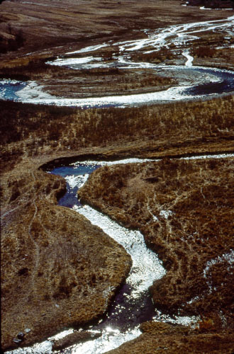 PVM_FB00530.jpg