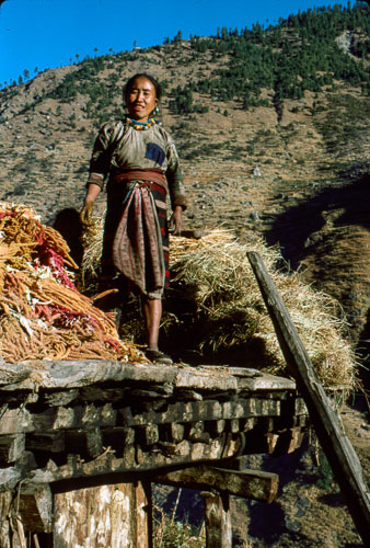 PVM_FB00549.jpg
