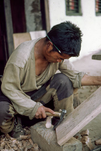 PVM_FB00557.jpg