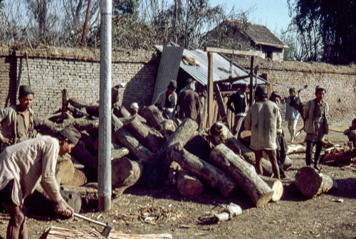 PVM_FB00587.jpg