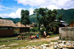 RZ_CS0010.jpg RZ_CS0010.jpg