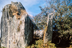 RZ_CS0015.jpg RZ_CS0015.jpg