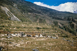 RZ_CS0025.jpg