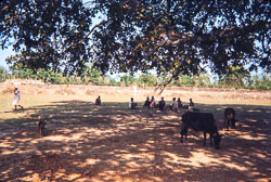 RZ_CS0042.jpg