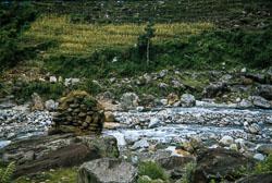 RZ_CS0045.jpg
