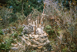 RZ_CS0048.jpg