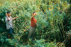 RZ_CS0068.jpg