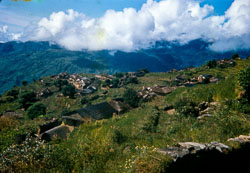 RZ_CS0069.jpg