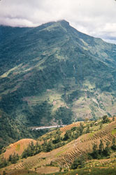 RZ_CS0085.jpg