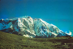 RZ_CS0092.jpg