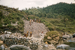 RZ_CS0101.jpg