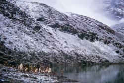 RZ_CS0109.jpg
