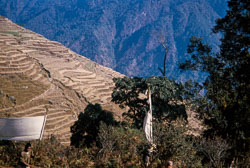 RZ_CS0115.jpg