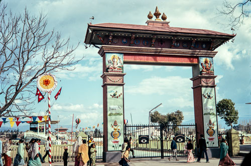 RP_CS0020.jpg RP_CS0020.jpg