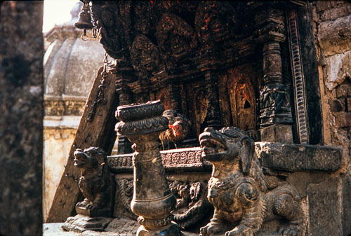 RP_CS0209.jpg RP_CS0209.jpg