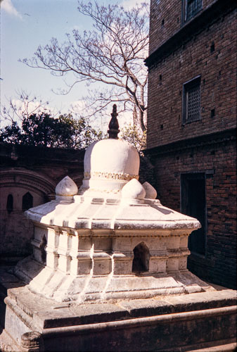 RP_CS0223.jpg RP_CS0223.jpg