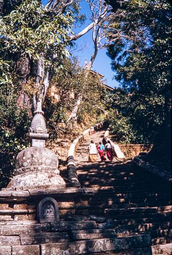 RP_CS0227.jpg RP_CS0227.jpg