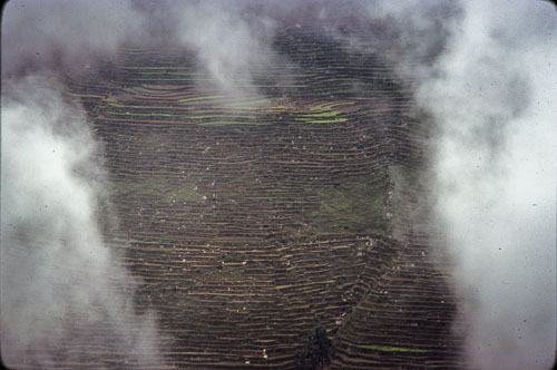 RP_CS0267.jpg RP_CS0267.jpg