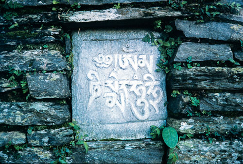 RP_CS0288.jpg RP_CS0288.jpg