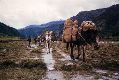 RP_CS0339.jpg
