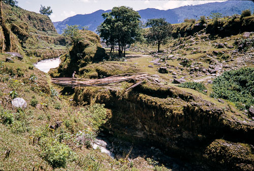 RP_CS0341.jpg