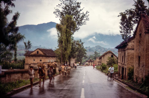 RP_CS0349.jpg