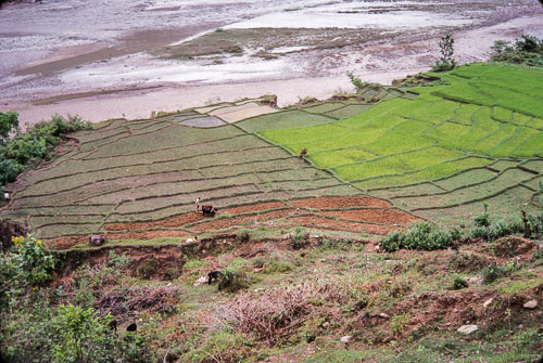 RP_CS0355.jpg
