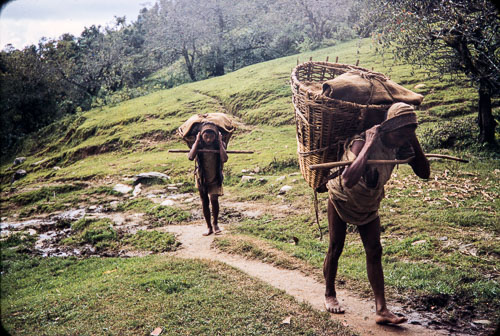 RP_CS0367.jpg