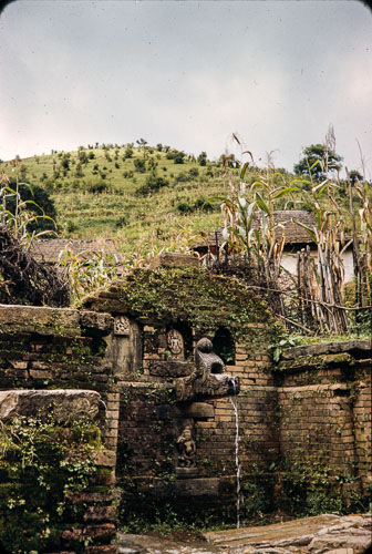 RP_CS0368.jpg