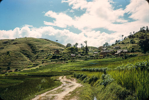 RP_CS0370.jpg
