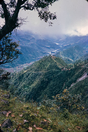 RP_CS0374.jpg
