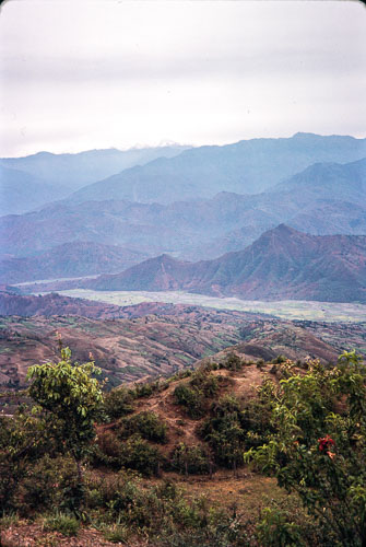 RP_CS0377.jpg