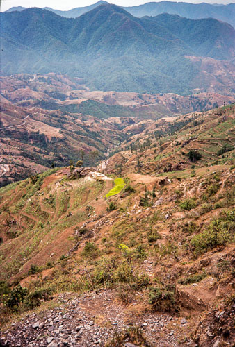 RP_CS0381.jpg