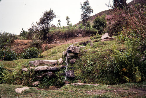 RP_CS0382.jpg