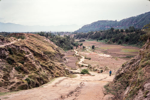 RP_CS0387.jpg