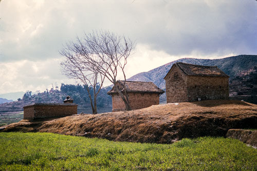 RP_CS0389.jpg