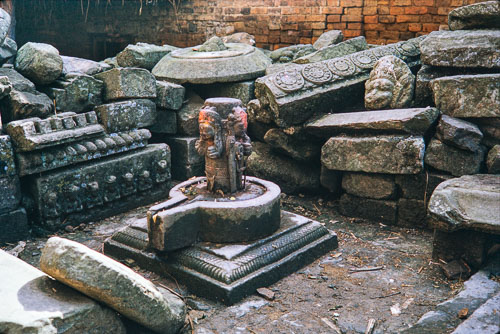 RP_CS0390.jpg