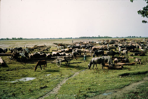 RP_CS0514.jpg