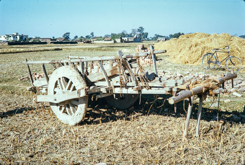 RP_CS0542.jpg