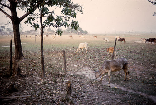RP_CS0552.jpg
