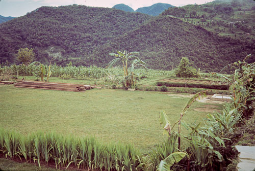 RP_CS0677.jpg